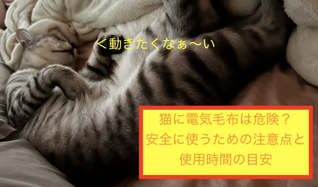 猫に電気毛布は危険？安全に使うための注意点と使用時間の目安のアイキャッチ画像です。