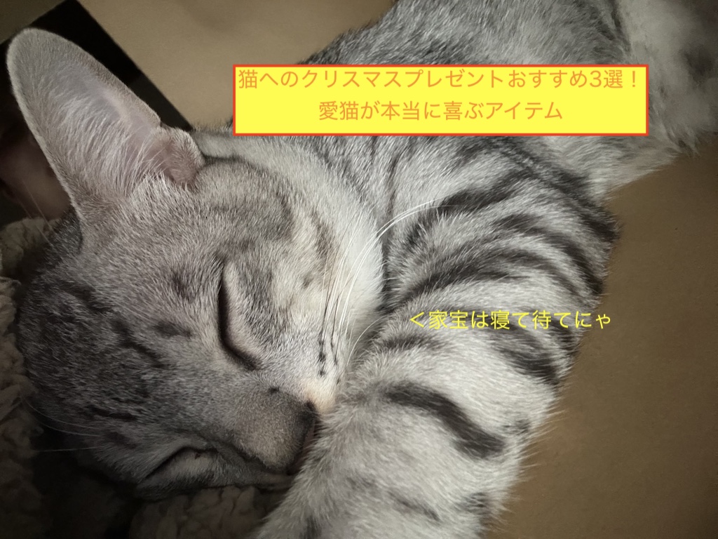 猫へのクリスマスプレゼントおすすめ3選！愛猫が本当に喜ぶアイテムのアイキャッチ画像です。