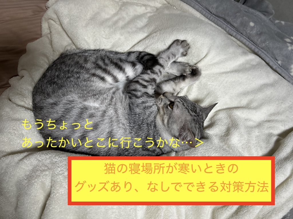 猫の寝場所が寒いときのグッズあり、なしでできる対策方法のアイキャッチ画像です！